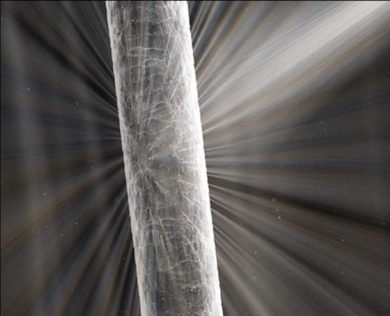 Zdravé vlasy odrážajú svetlo